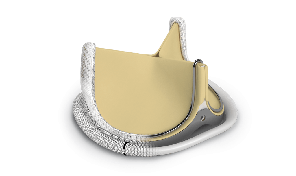 Surgical aortic pericardial valves | Edwards Lifesciences