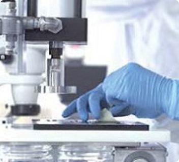 カットされた牛心のう膜は、