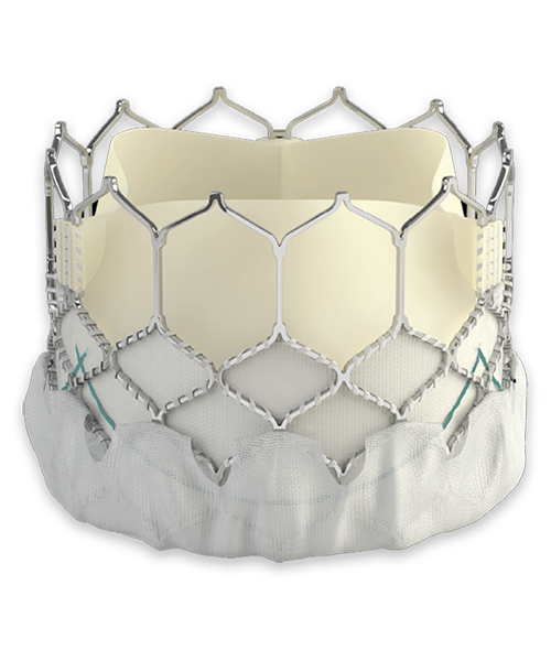 Zooplastic SAPIEN 3 transcathéter | Edwards Lifesciences