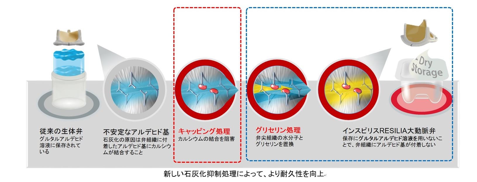 生体の調節機能―ハリの原理をさぐる 生体の調節機能―ハリの原理をさぐる (1972年) (中公新書) |本