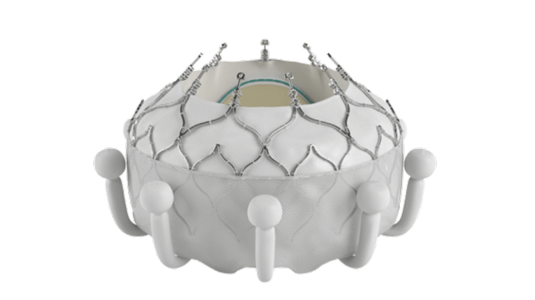 EVOQUE Tricuspid Valve Replacement System