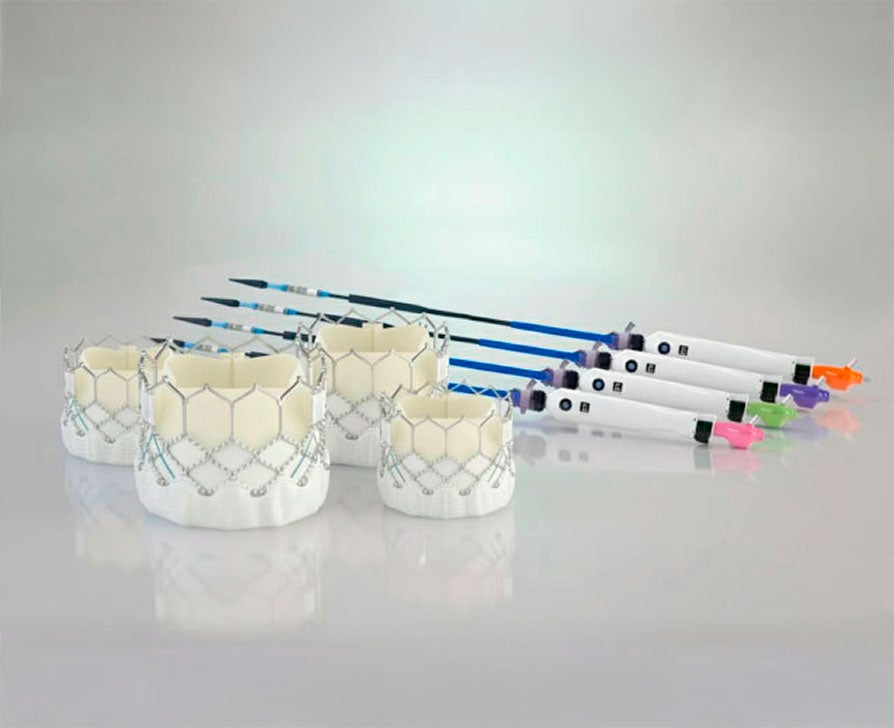 Sapien 3 valve sizes image