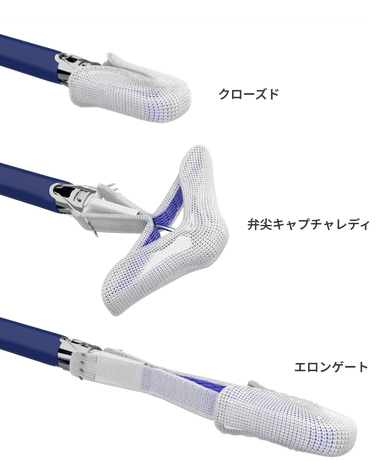 PASCAL Precision システム | Edwards Lifesciences