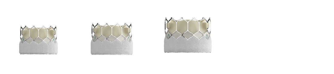 SAPIEN 3 Ultra valve sizes Image