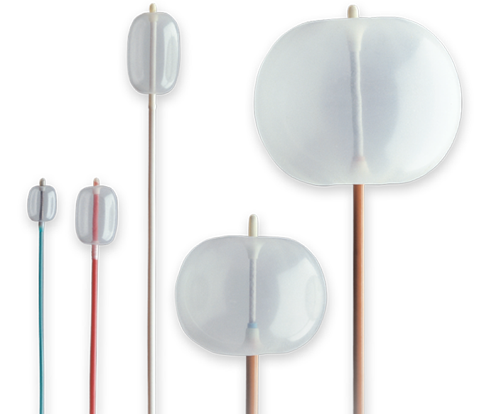 Occlusion catheters Edwards Lifesciences