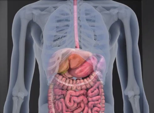 Physiologic implications of appropriate volume administration video