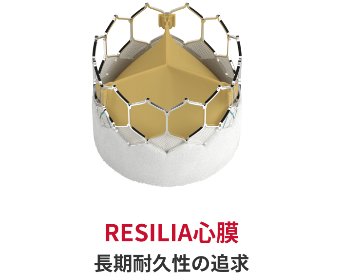 SAPIEN 3生体弁シリーズ | Edwards Lifesciences SAPIEN 3生体弁シリーズ | Edwards Lifesciences
