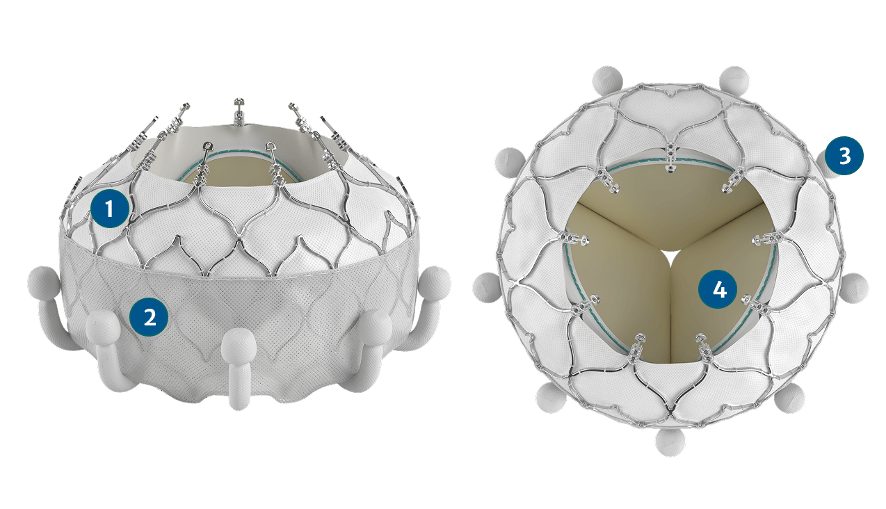 EVOQUE features