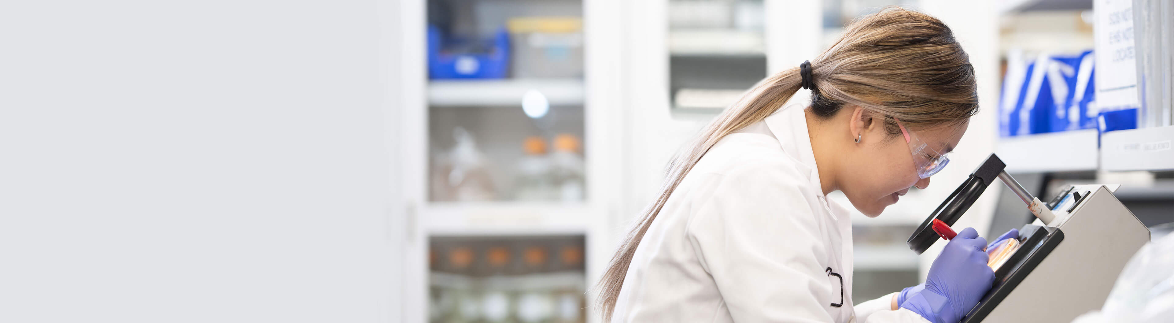 University Recruiting banner