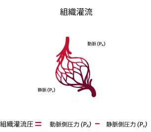 Adequate perfusion requires adequate arterial pressure and cardiac output (CO)
