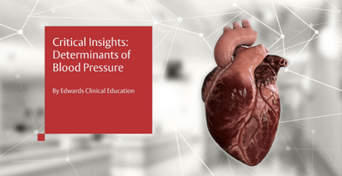 Critical Insights learning series