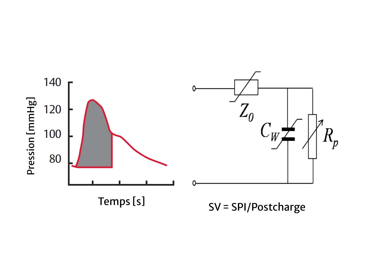 Cardiac output calculation