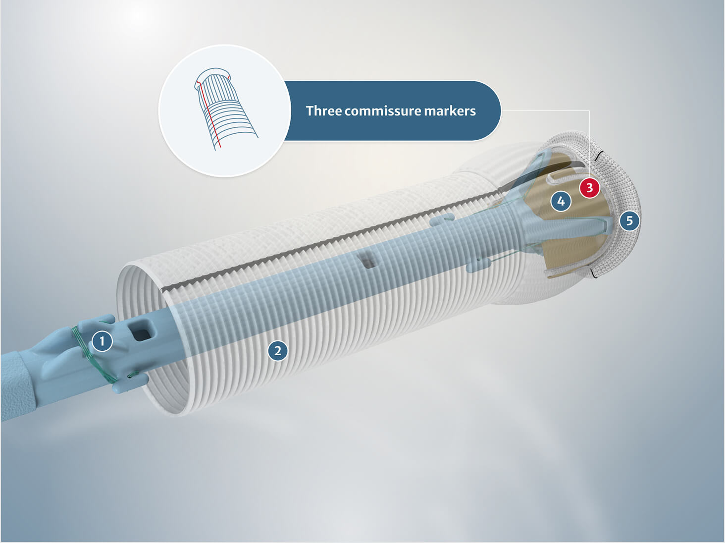 Three commissure markers