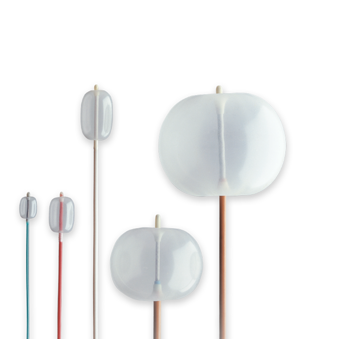 Occlusion catheters Edwards Lifesciences