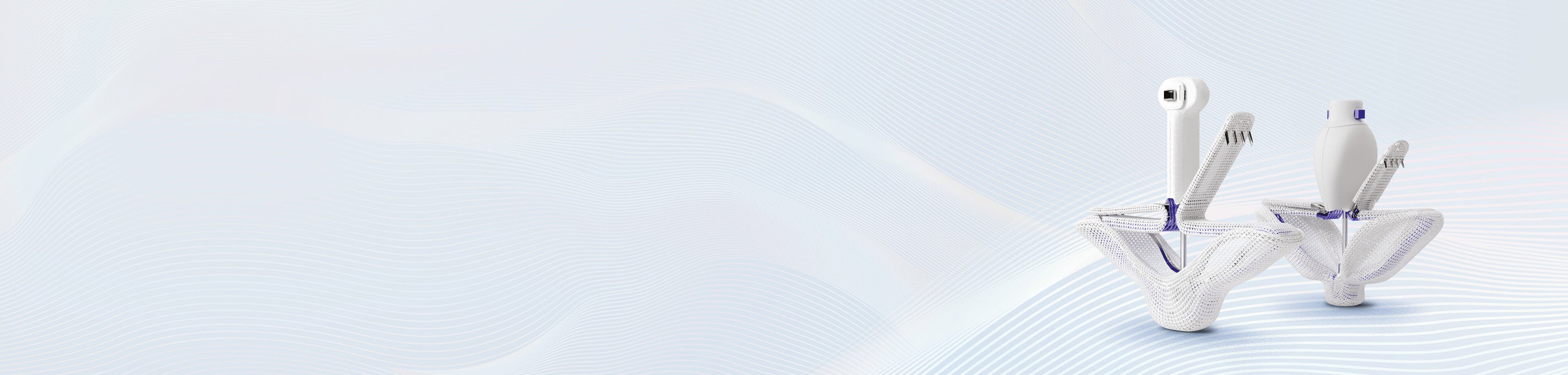 MICLASP study PASCAL - TR