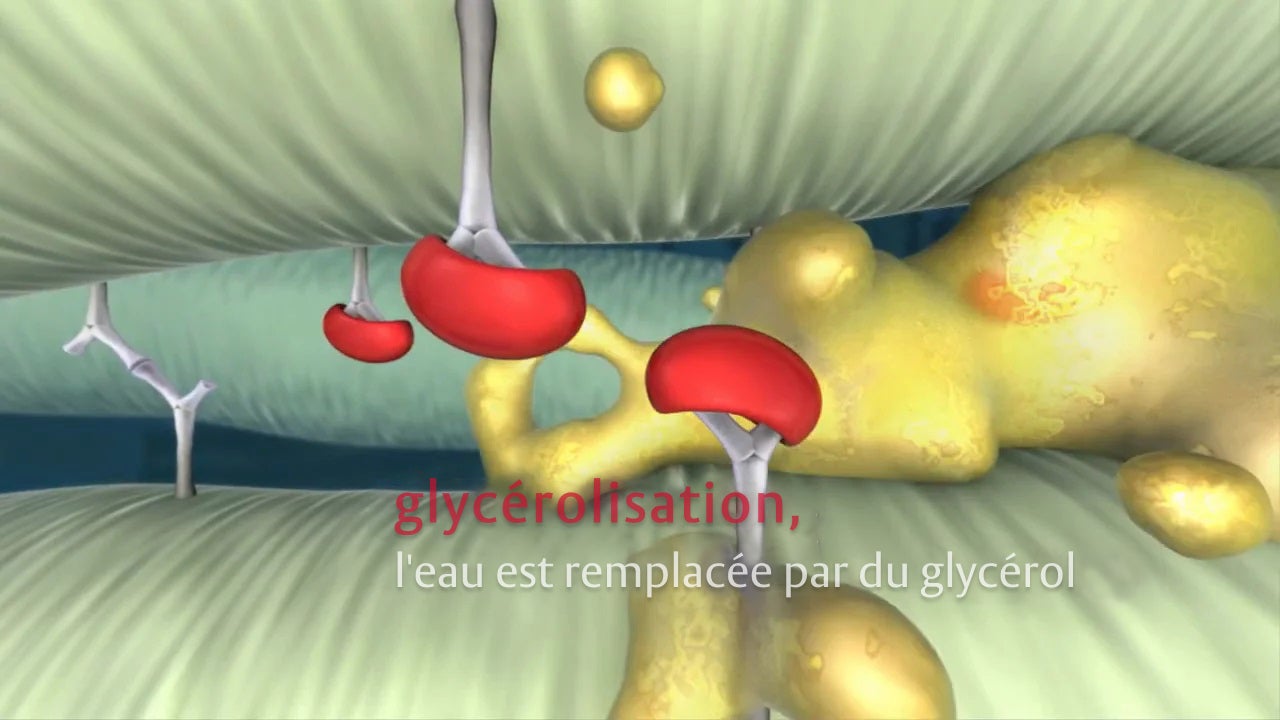 resilia animation thumbnail