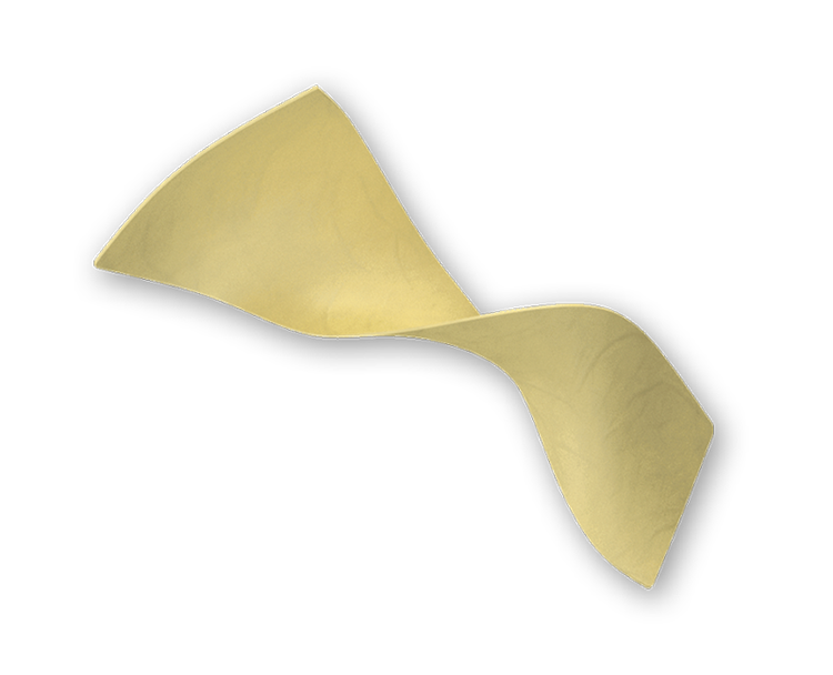 bovine-pericardial-patch-edwards-lifesciences