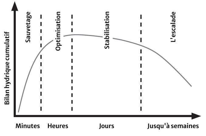 Four phases of hemodynamic treatment in relation to cumulative fluid balance6