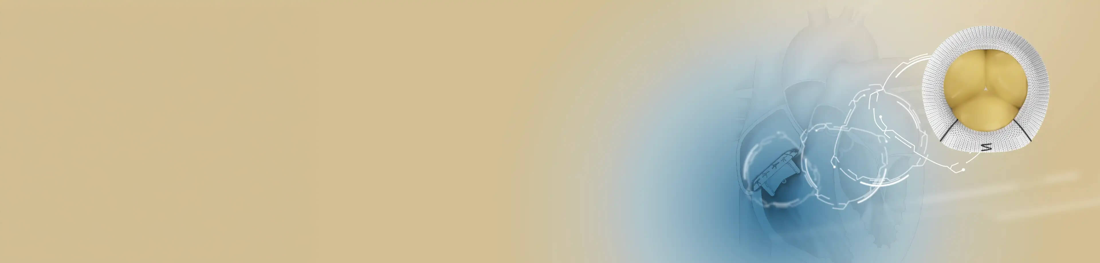 Triformis banner