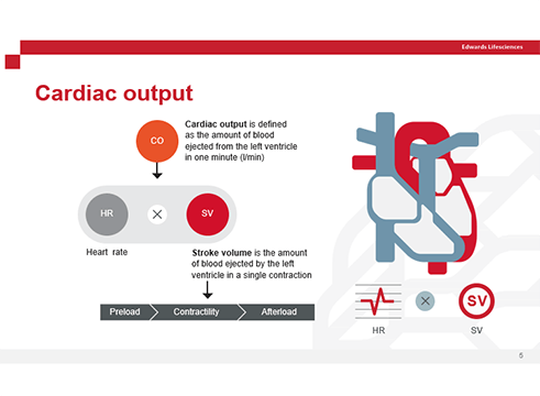 Cardiovascular physiology video