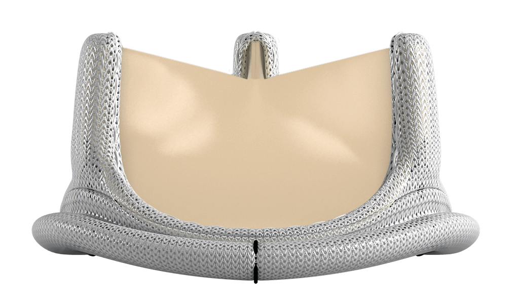 Surgical Aortic Heart Valves Edwards Lifesciences