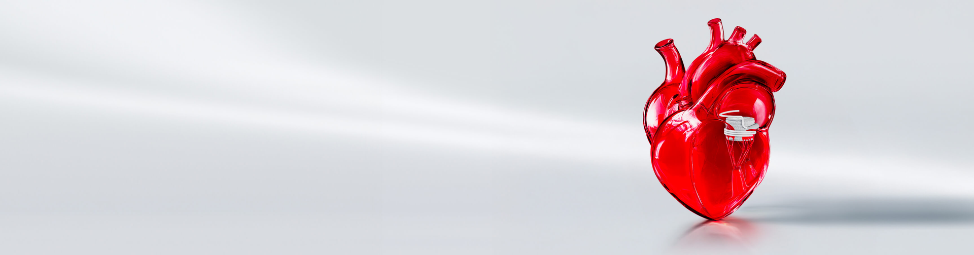 Sapyen Overview SAPIEN M3 System (TMVR) | Edwards Lifesciences