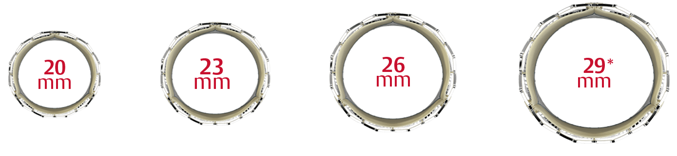 Transcatheter SAPIEN 3 Ultra info image