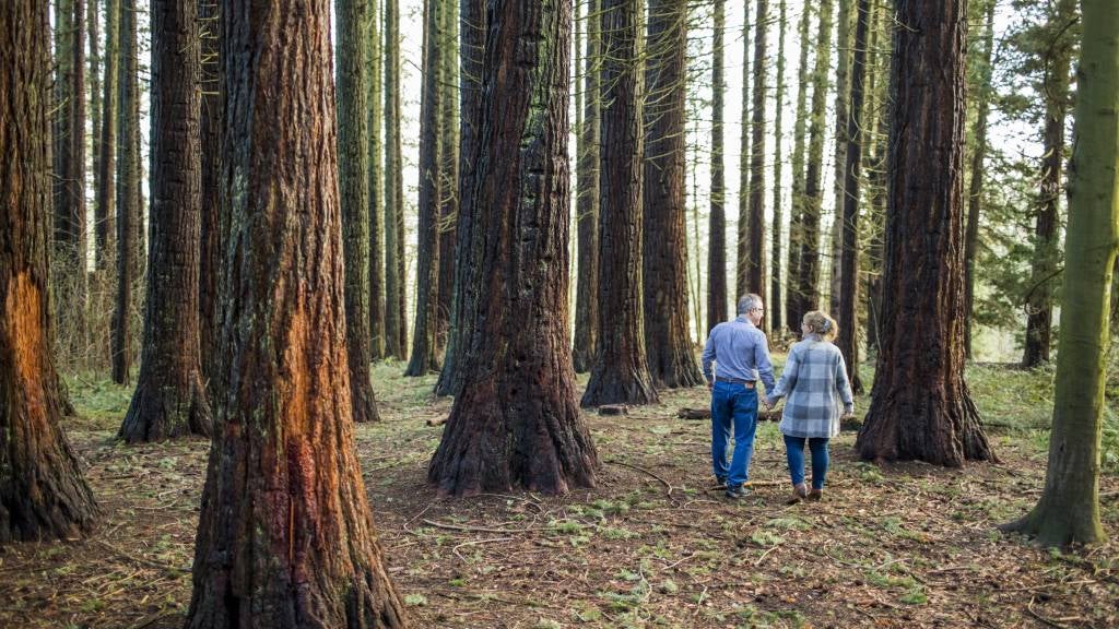 Senior couple walk in nature