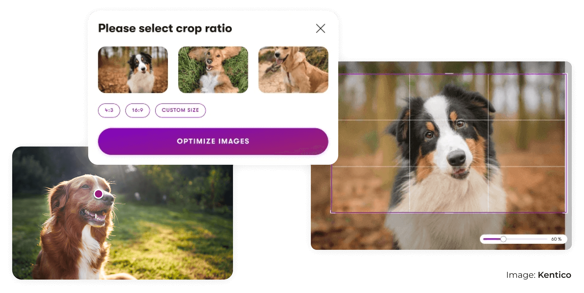 Screenshots of Xperience by Kentico image editing capabilities