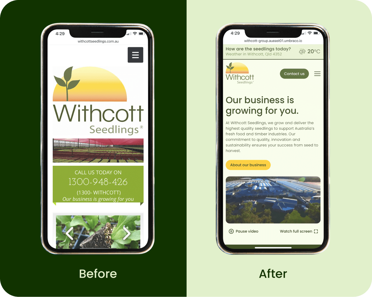 Before and after view of the Withcott Seedlings website redesign on mobile devices
