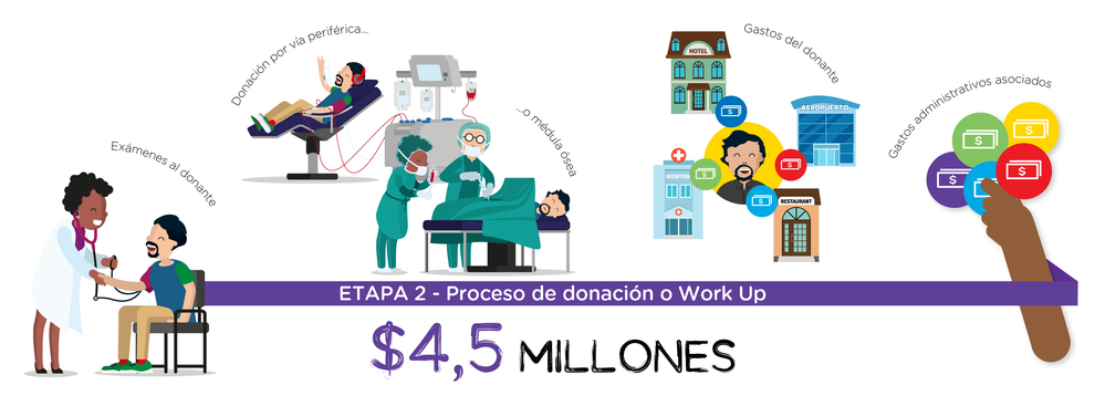 Costos de un Work Up DKMS