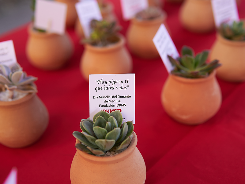 Celebración Día del Donante de Médula ósea