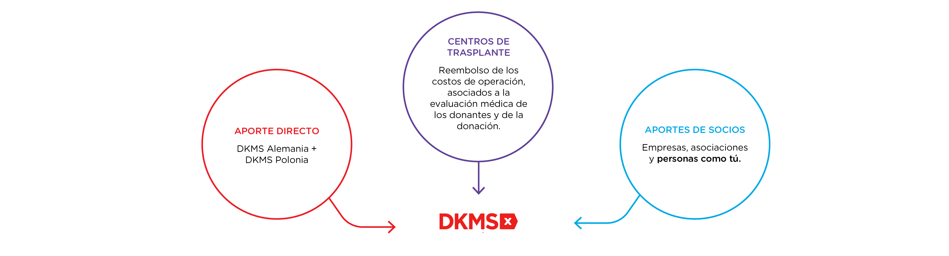 Financiamiento DKMS Chile