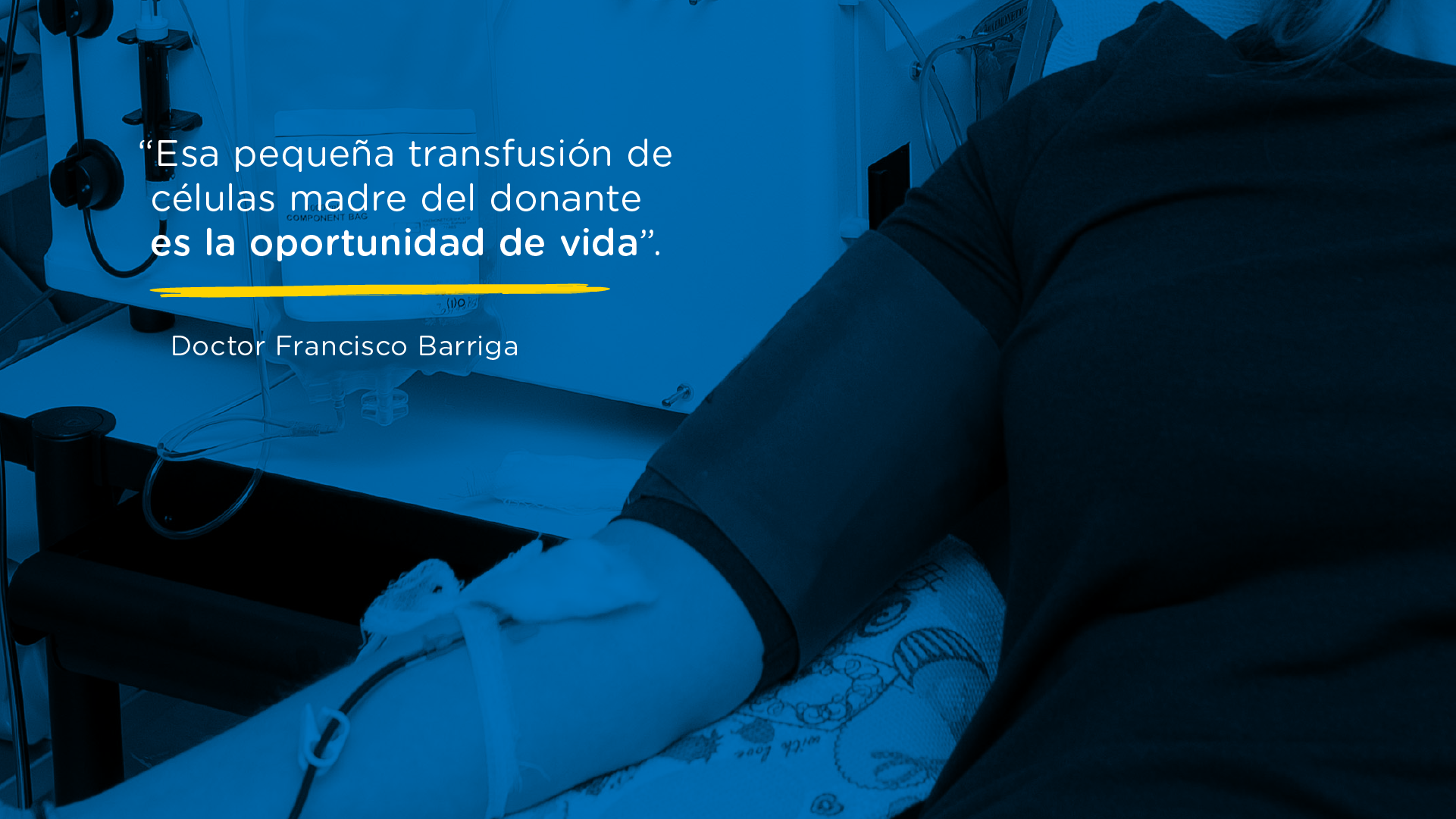 #ColumnaDelDocBarriga - Las células madre sanguíneas 