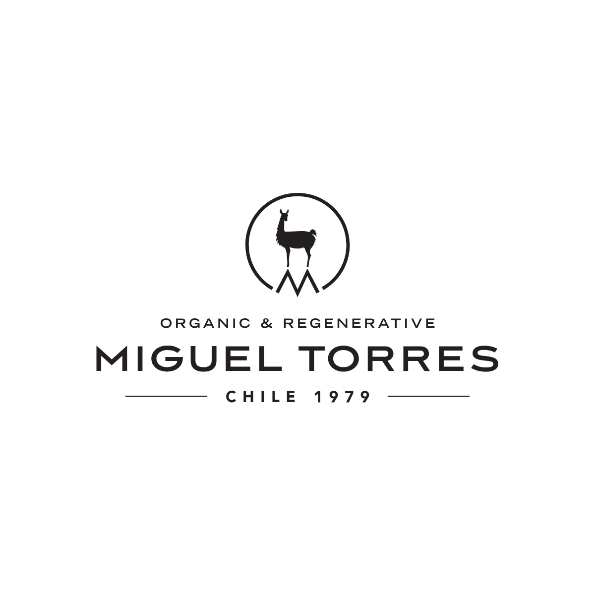 Miguel Torres