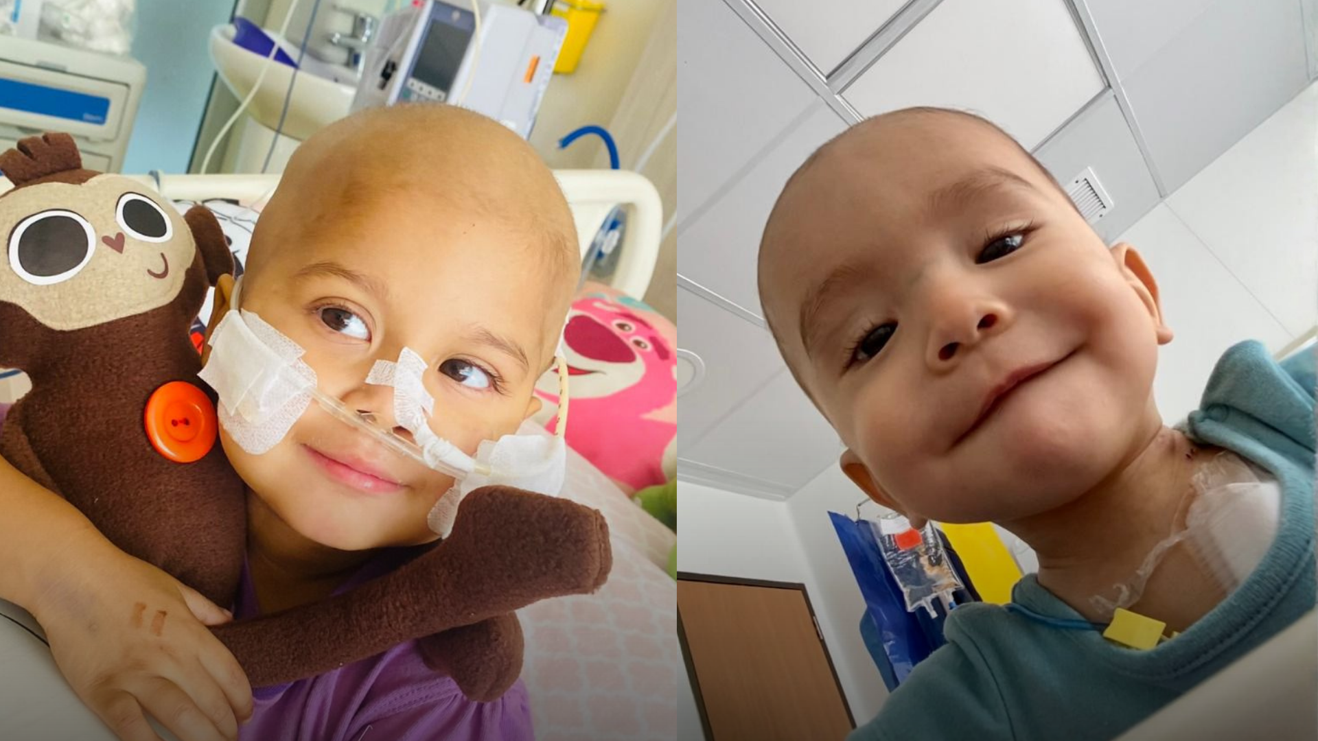 Colecta DKMS 2026