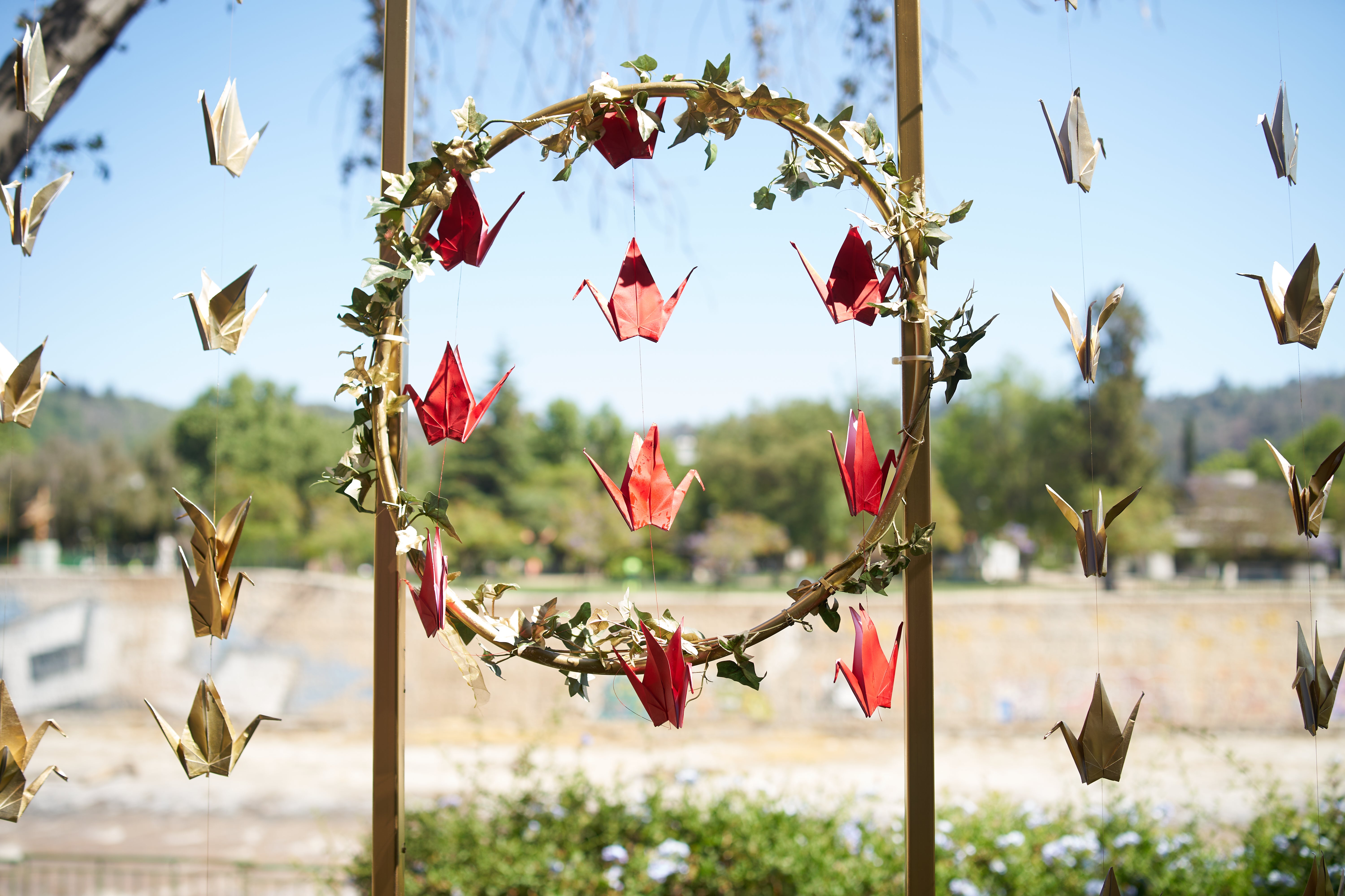 100 mil donantes: grullas DKMS Chile