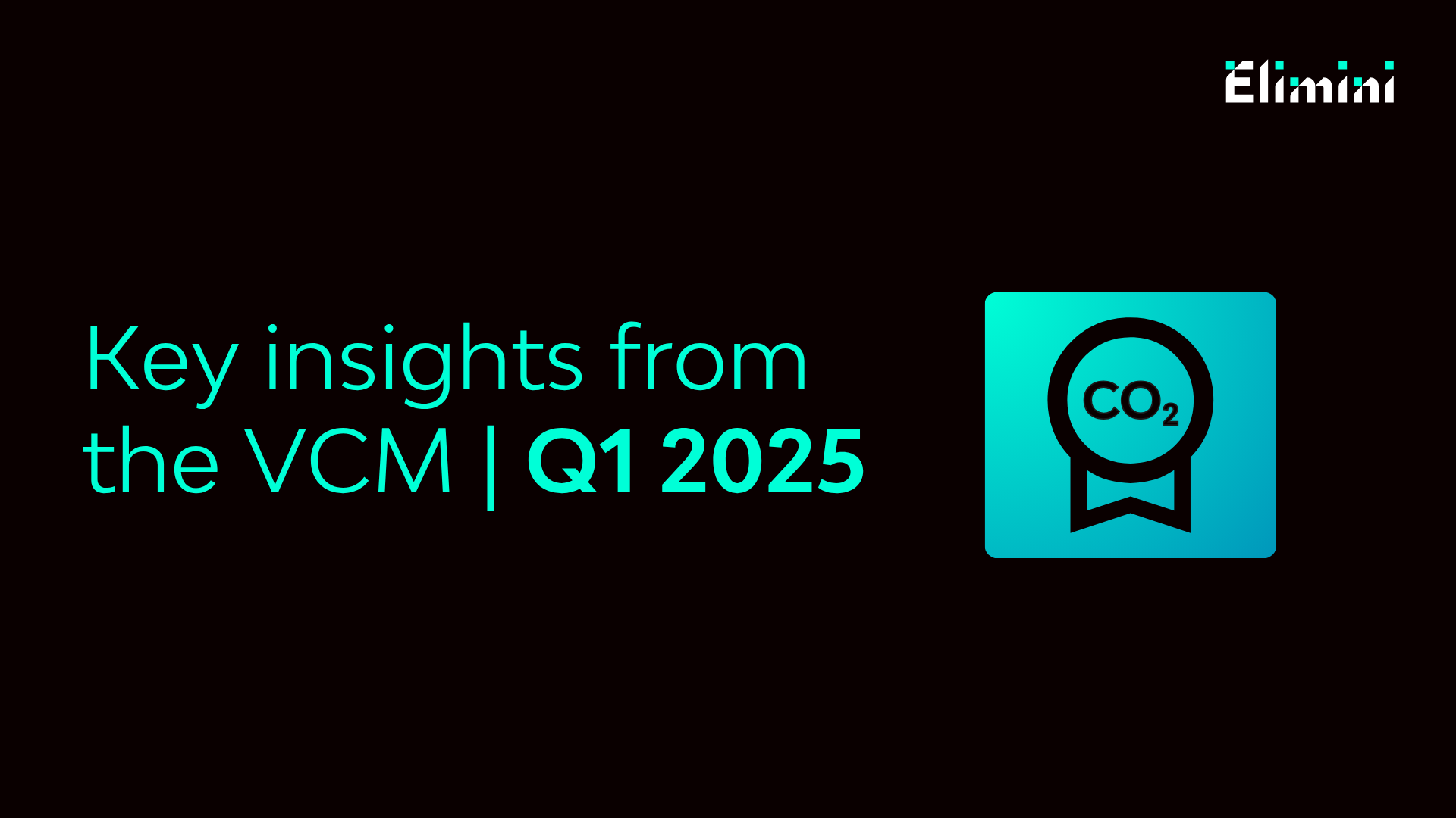 Key insights from the VCM (Q1 2025)