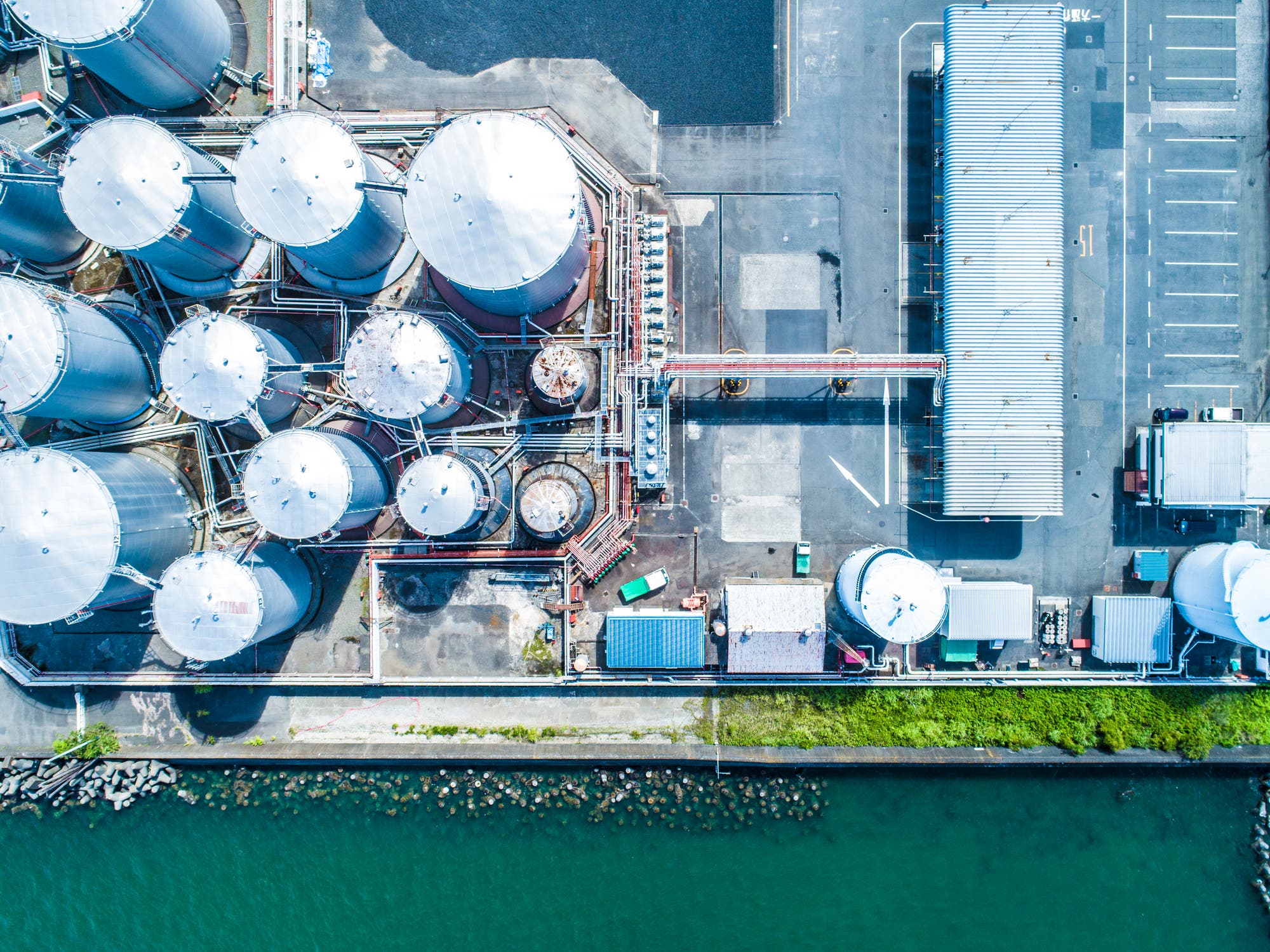 McKinsey estimates carbon removals markets could be a $1.2 trillion industry by 2050, and the EU has an opportunity to ensure it can be a key player in these markets.