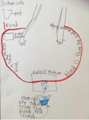 Maxwell's drawing