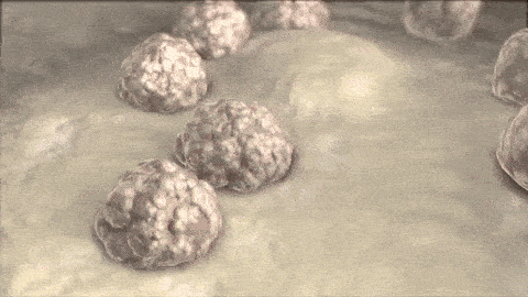 5 Things You Should Know About World Blood Cancer Day Dkms 5 Things You Should Know About World Blood Cancer Day Dkms