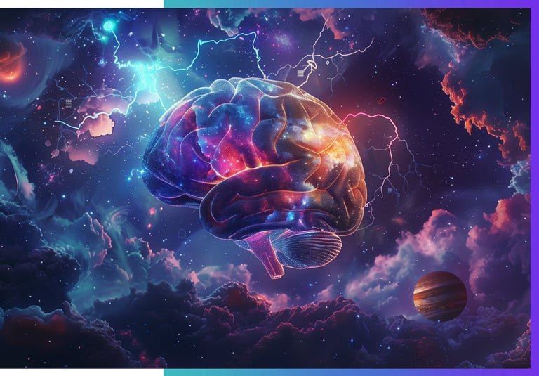 The Flow State in the brain. 
