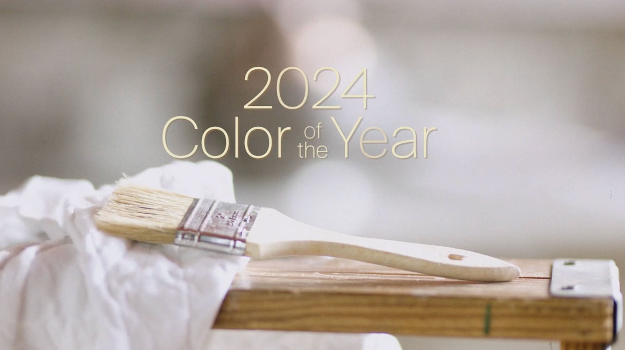 2024's Colors of The Year: 12 newly launched paints