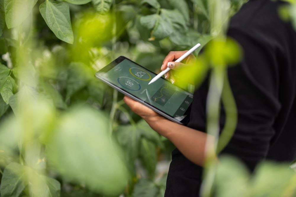 Person using tablet in greenhouse