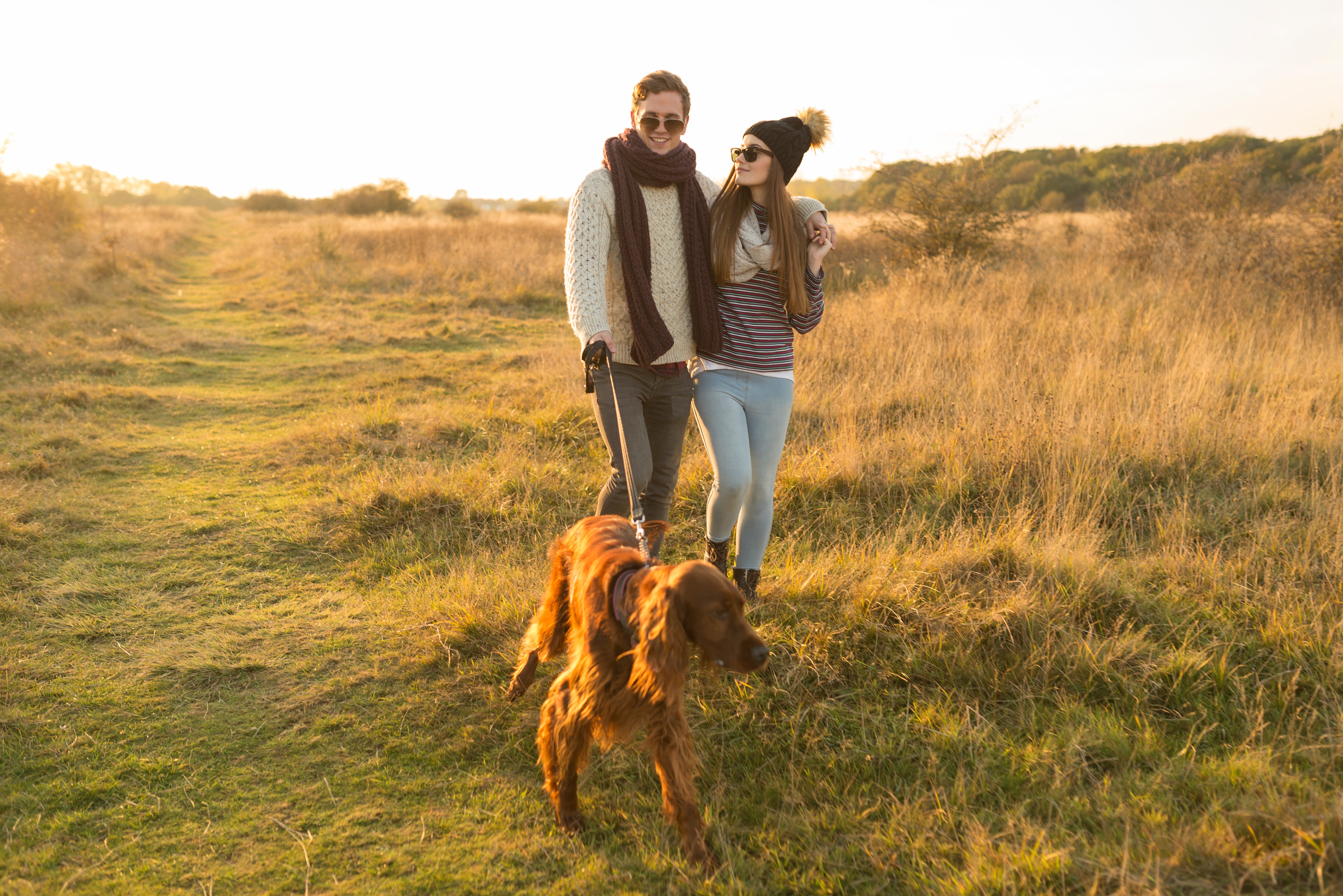 Couple walking their dog in a field