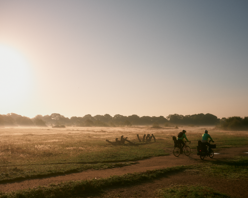Cyclists in a field at dawn