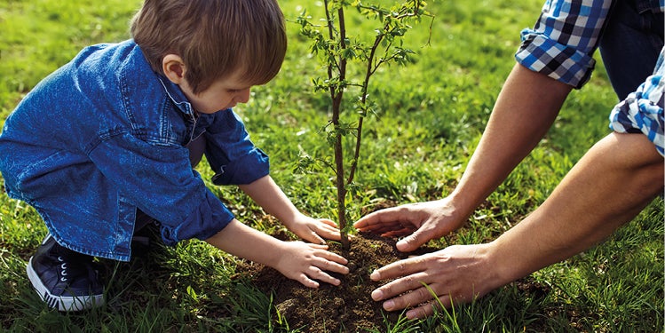 Parent and child planting tree