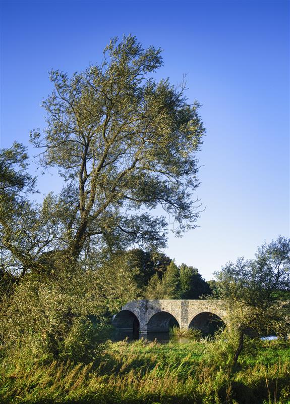 Bridge in meath