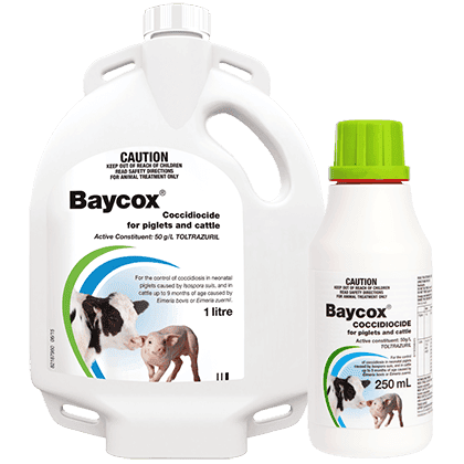 Veneno P/rata Insecticida Racumin Ratas 60 Gr Bayer Jonson