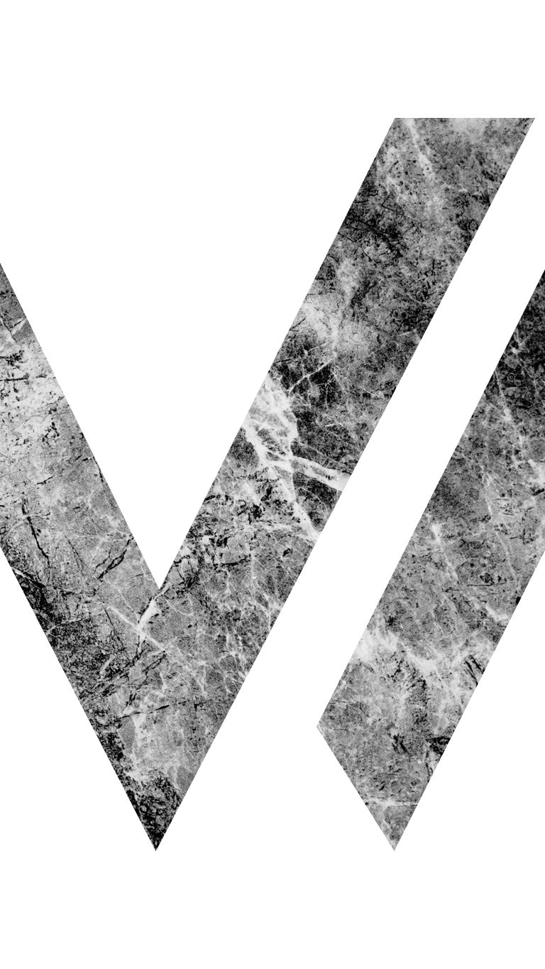 V2 Wellness Website Image